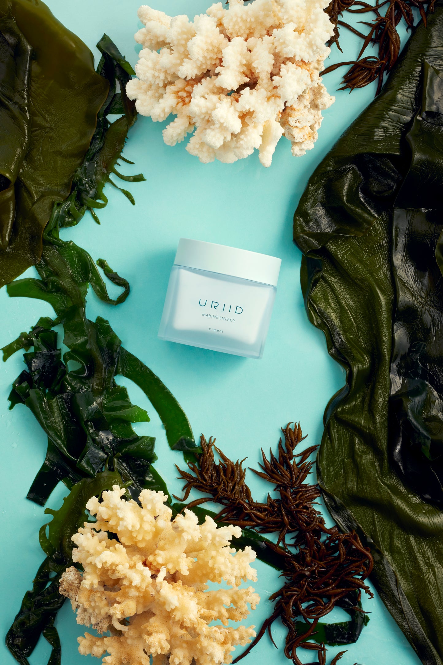 Marine Energy Cream